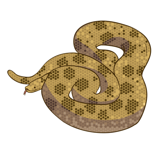 Anaconda Vector PNG