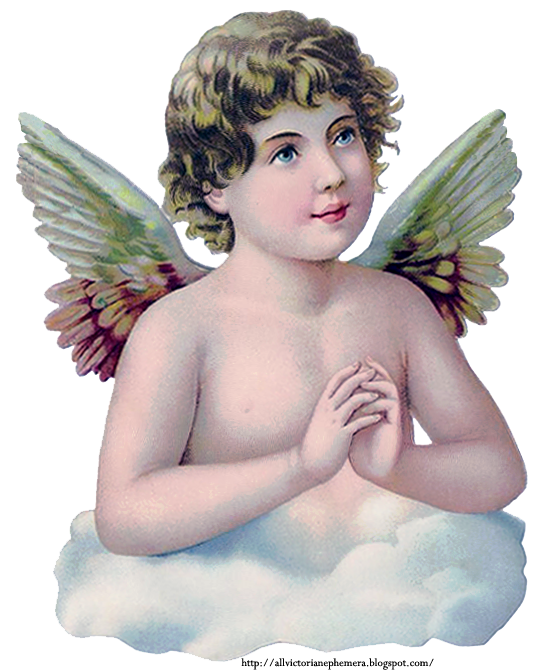 Angel Praying Baby Transparent PNG