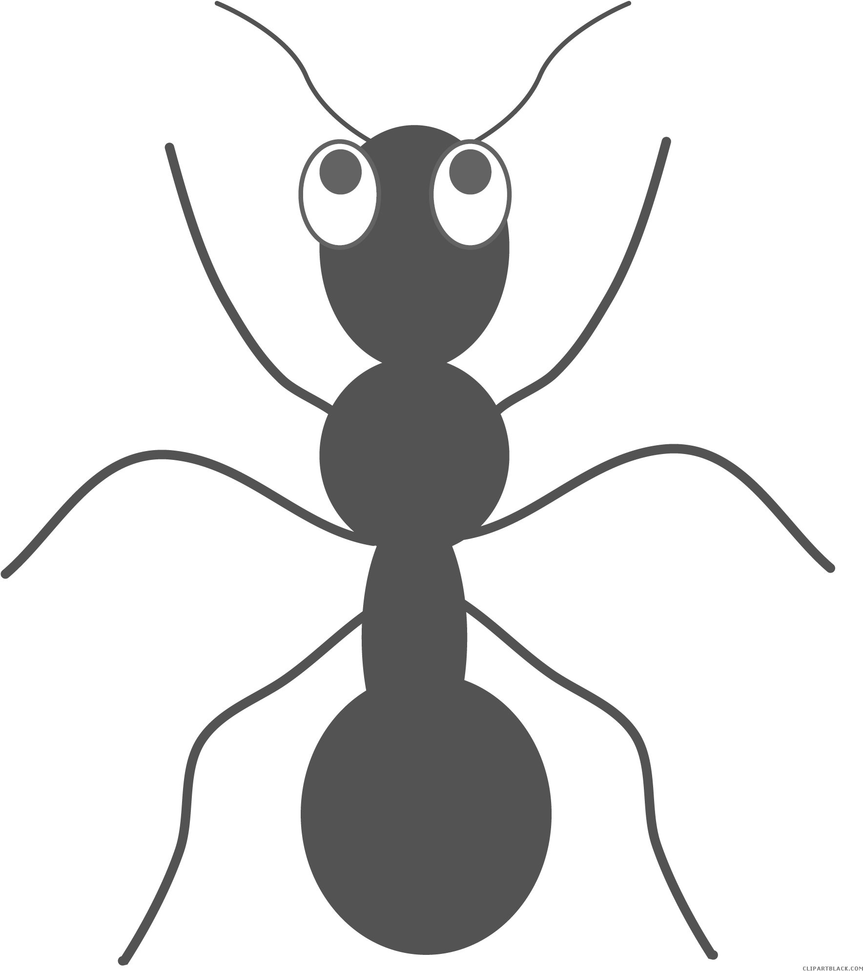 Ant Background PNG Image