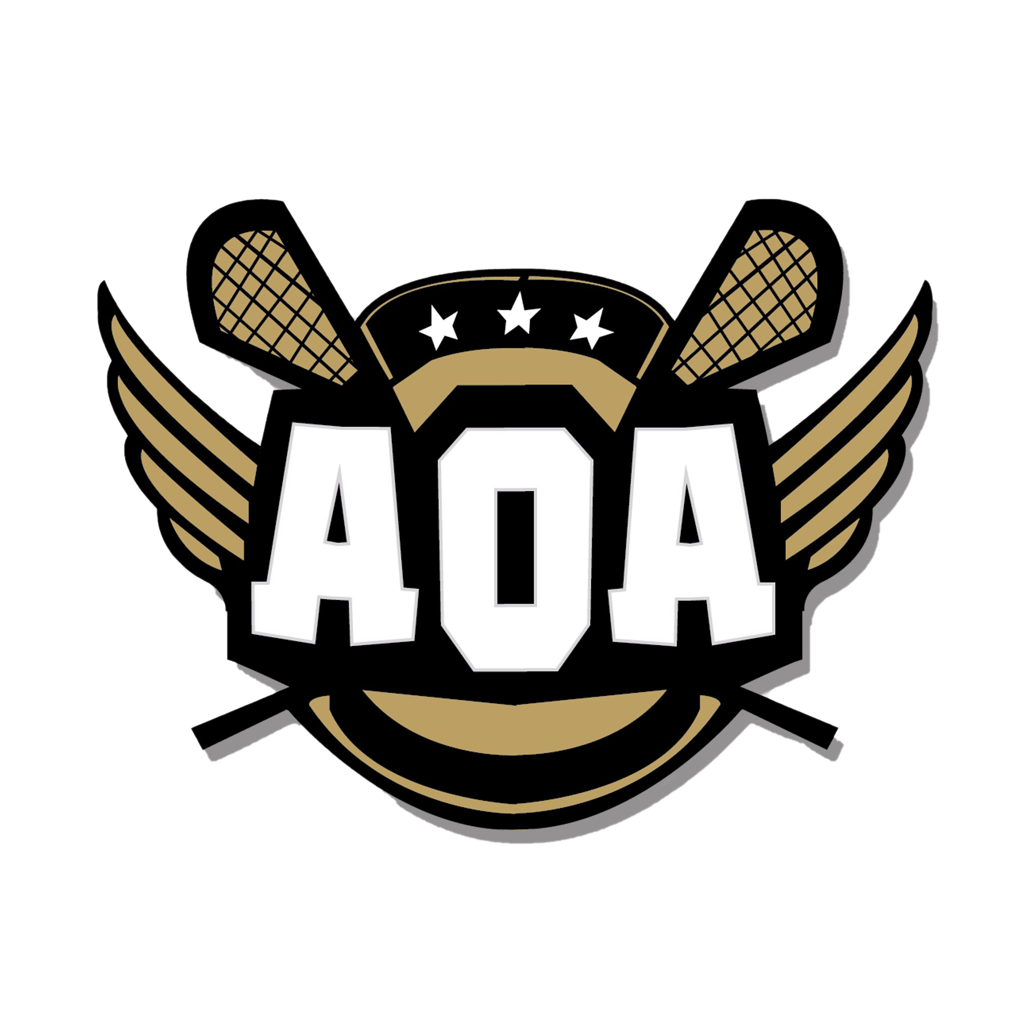 Aoa Logo Transparent PNG
