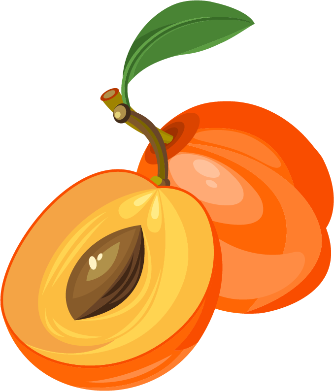 Apricot Clipart Transparent PNG