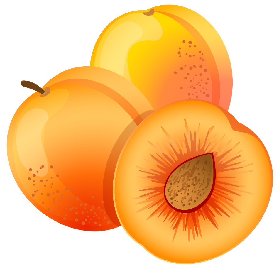 Apricot Vector Transparent PNG