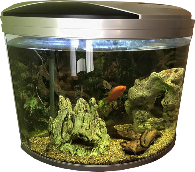 Aquarium Fish Tank Download Free PNG