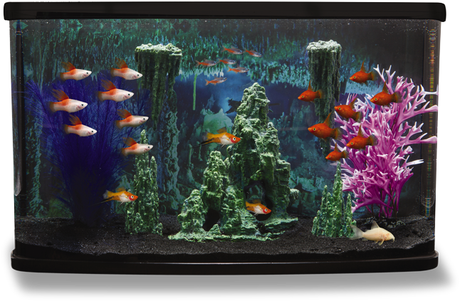 Aquarium-Fischtank PNG HD-Qualität