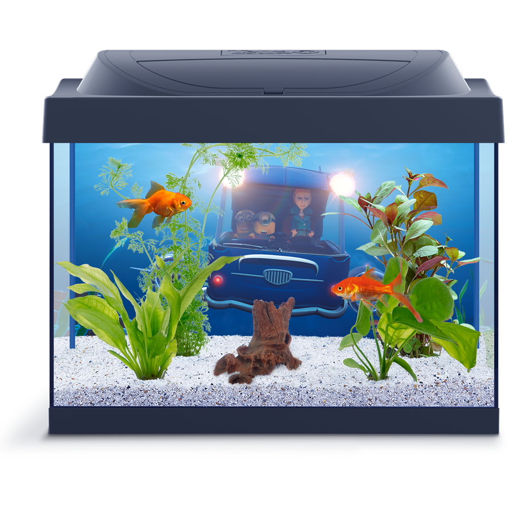 Aquarium-Fischtank Transparenter Hintergrund