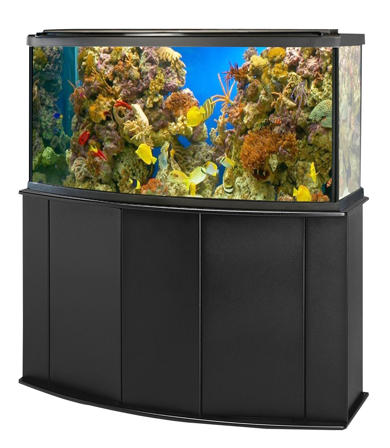Aquarium-Fischtank Transparente Datei