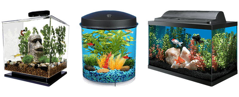 Aquarium-Fischtank Transparent PNG