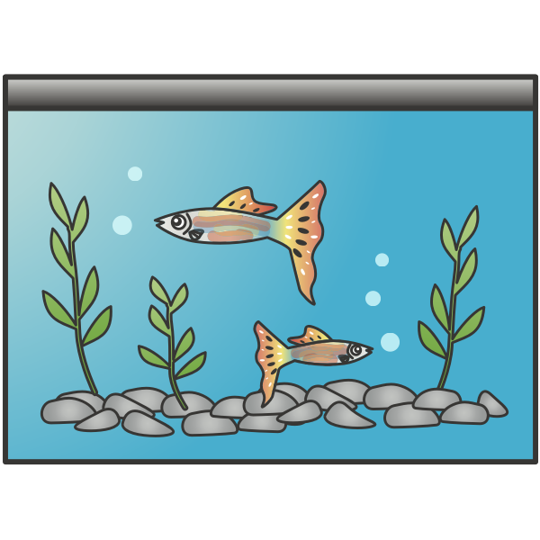 Aquarium Fish Tank Vector PNG Clipart Background