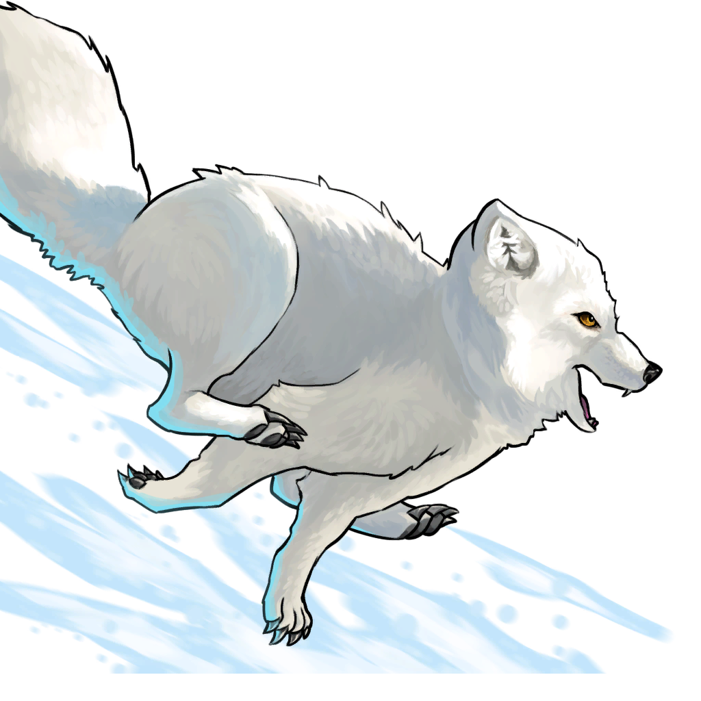 Arctic Fox Running PNG