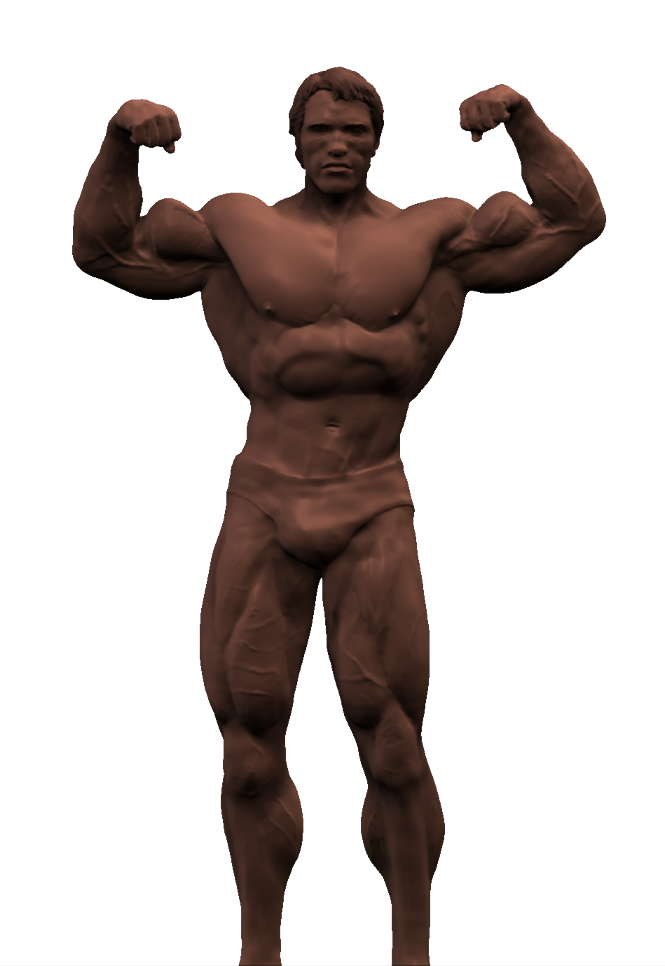 Arnold Schwarzenegger Bodybuilder PNG