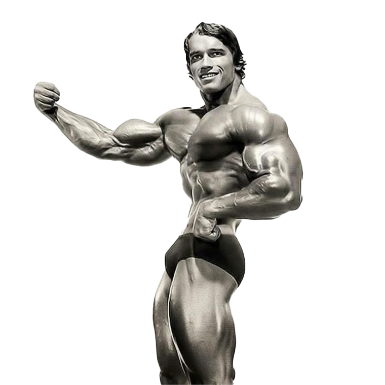 Arnold Schwarzenegger Pose PNG
