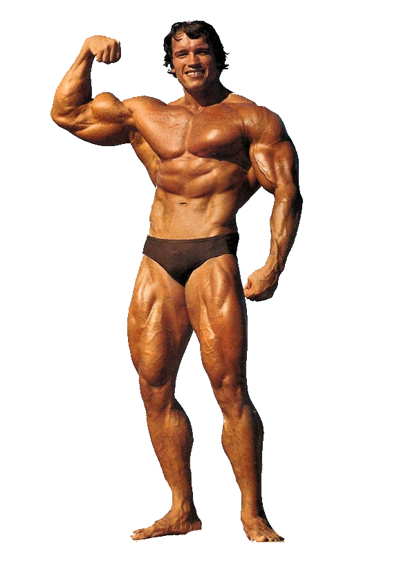 Arnold Schwarzenegger Posing PNG