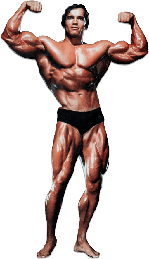Arnold Schwarzenegger Shirtless PNG