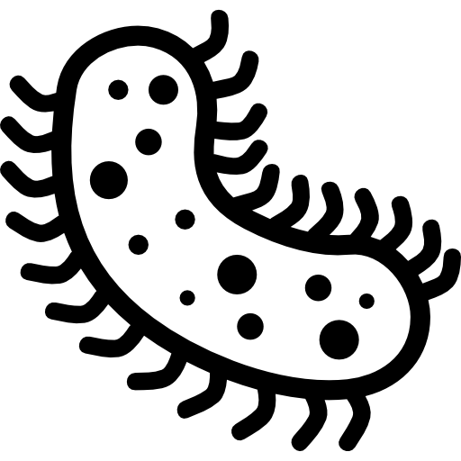 Bacteria Download Free PNG