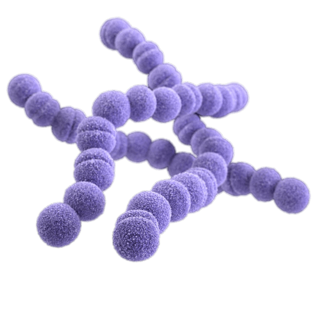 Bacteria Logo Background PNG Image
