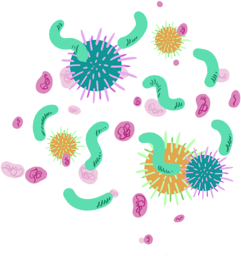 Bacteria Logo PNG Clipart Background