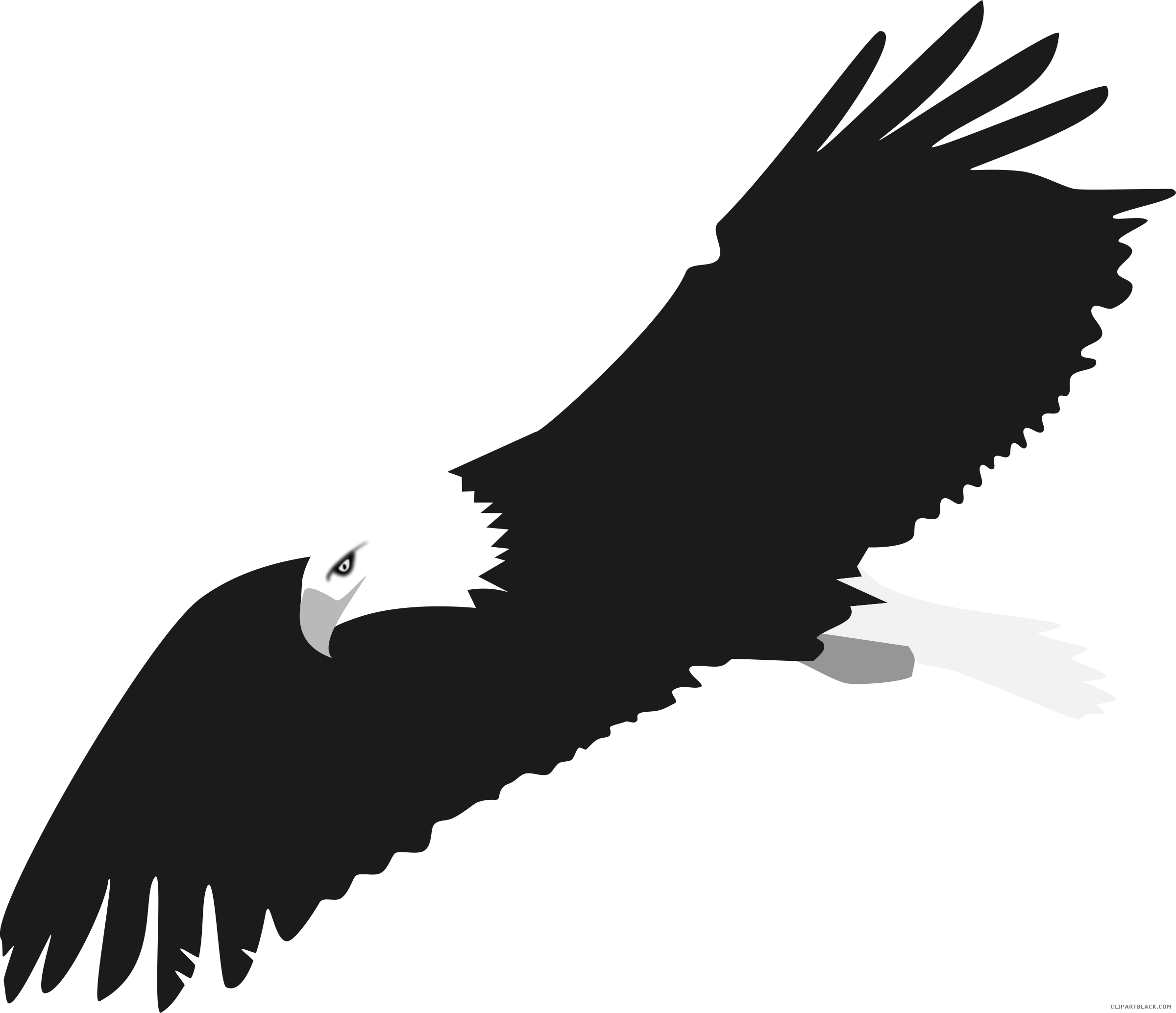 Bald Eagle PNG Clipart Background