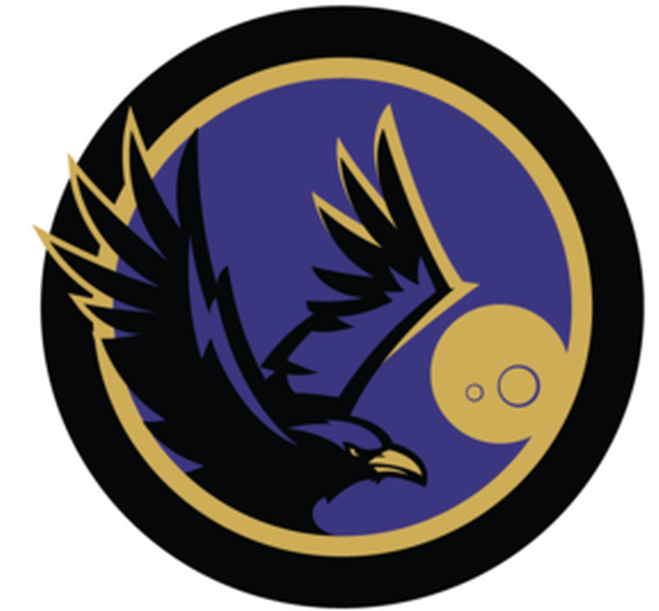 Baltimore Ravens Logo PNG HD-Qualität