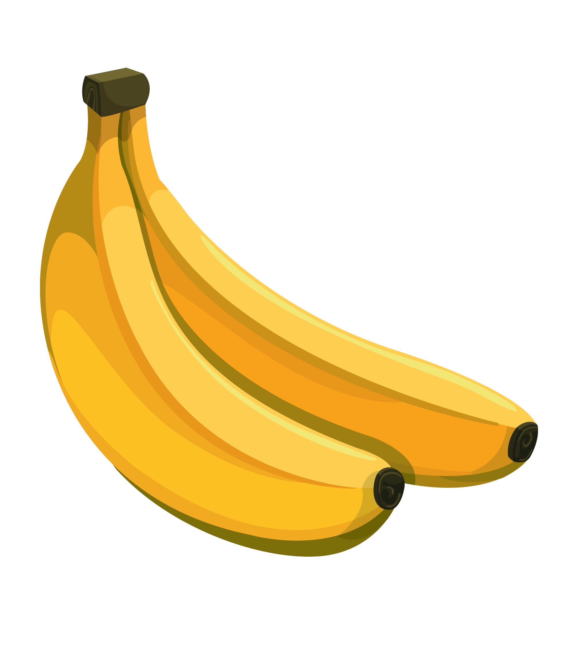 Banana Vector Transparent PNG
