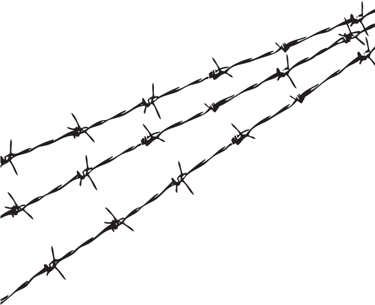 Barbwire Vector PNG Clipart Background