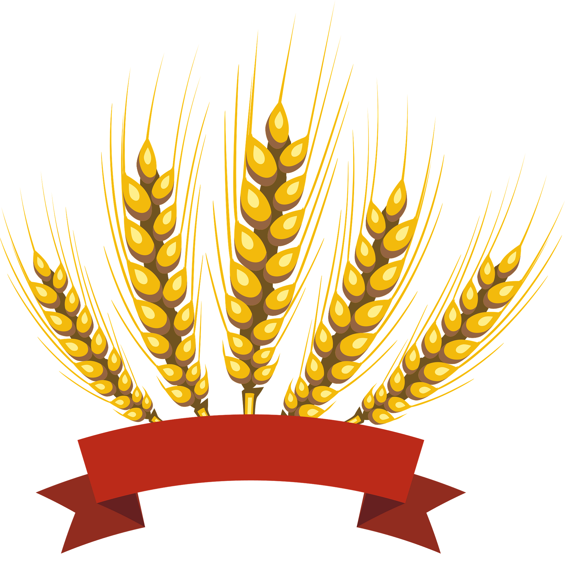 Barley PNG Clipart Background