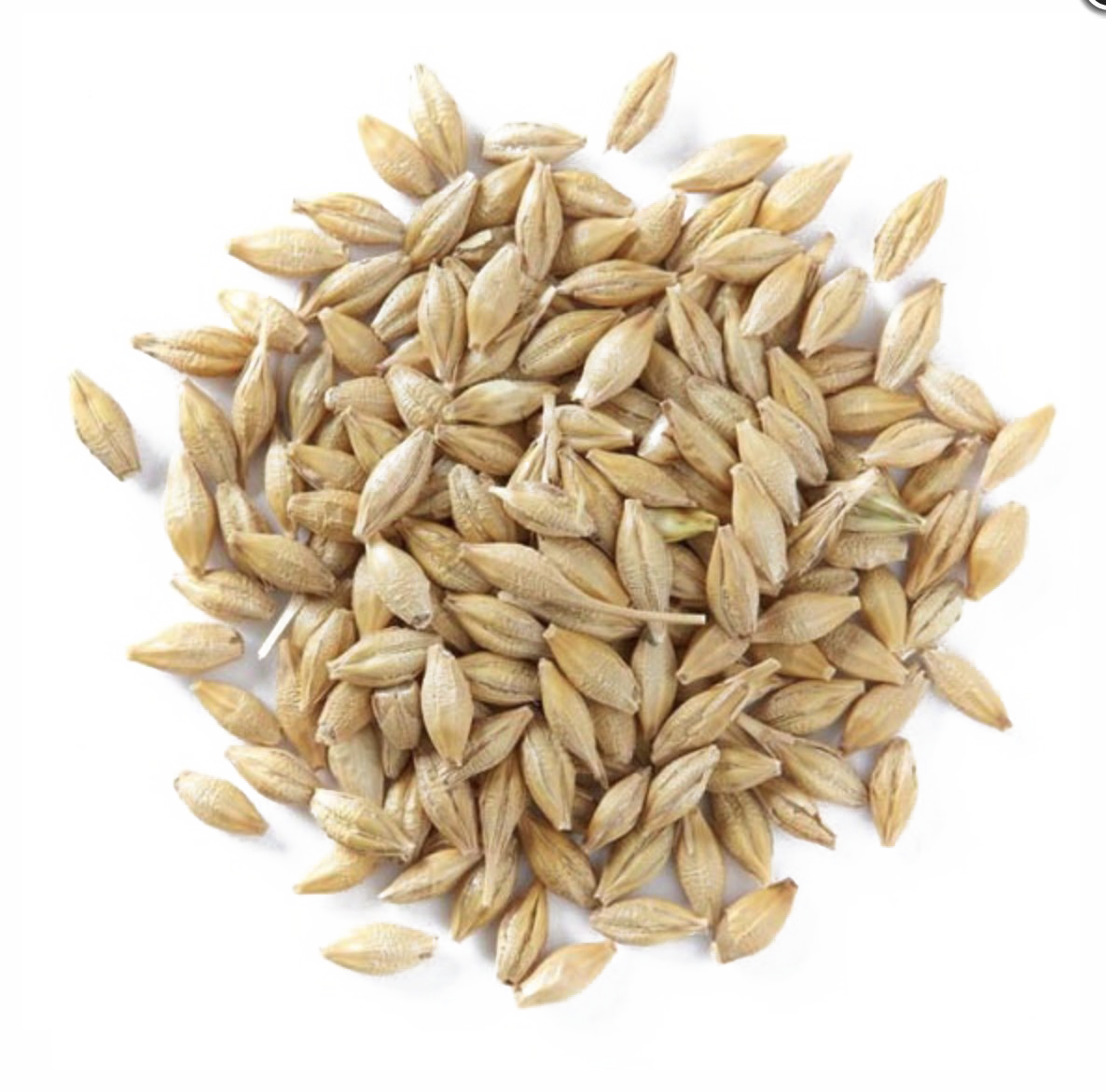 Barley PNG HD Quality