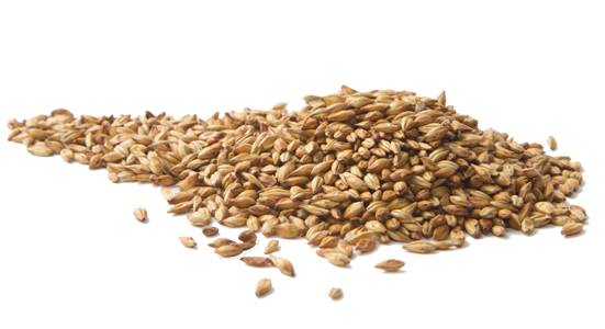 Barley Transparent Free PNG