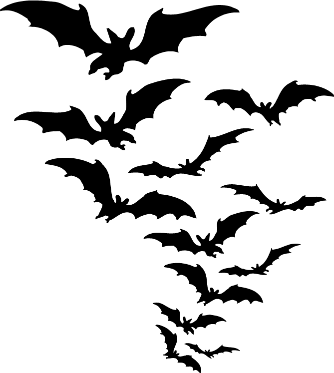 Bat Flying Black Vector PNG
