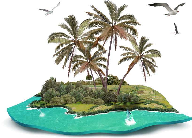 Beach Coconut Tree Download Free PNG