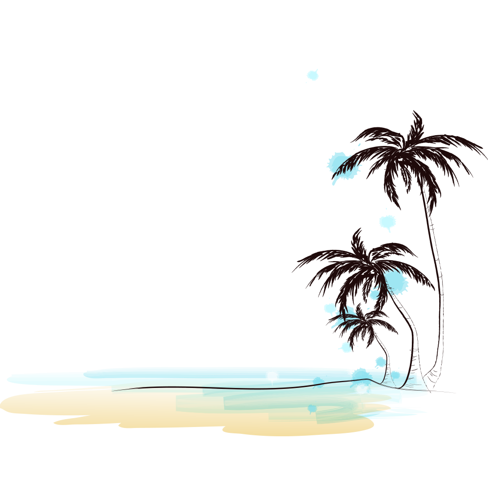 Beach Coconut Tree PNG Images HD