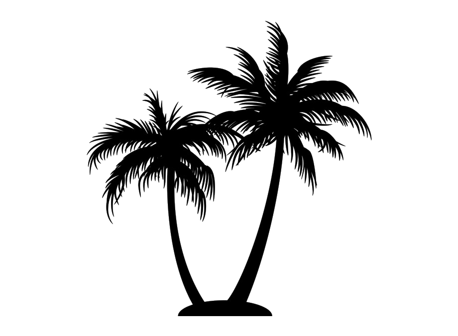 Beach Coconut Tree Silhouette PNG HD Quality