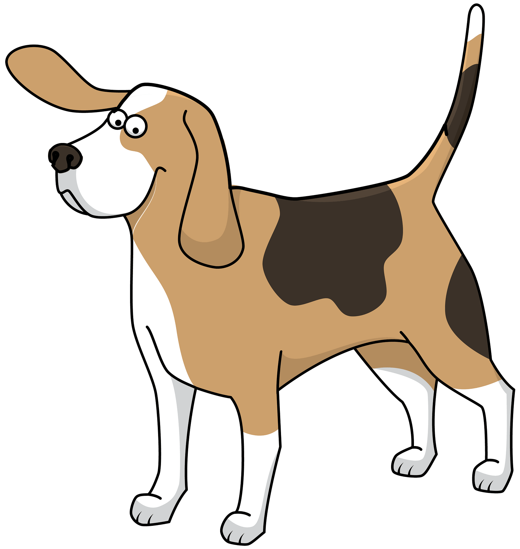 Beagle Vector Background PNG Image