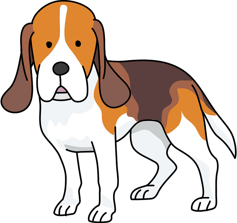 Beagle Vector PNG HD Quality