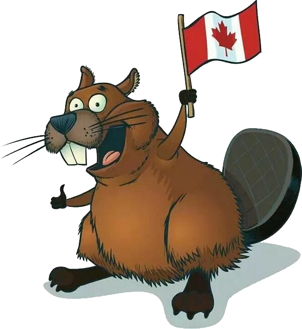 Beaver Canada Flag PNG