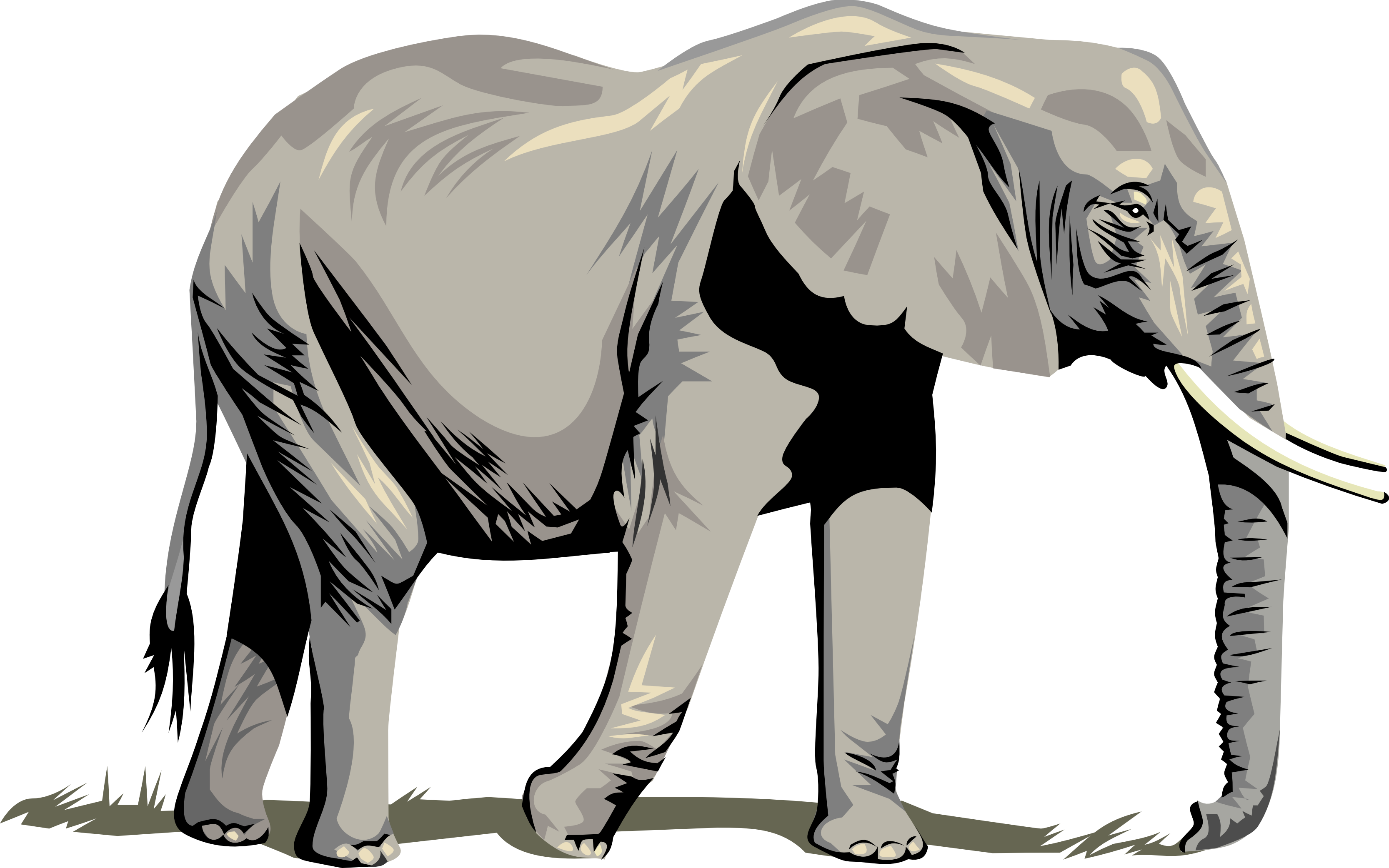 كبير الفيل PNG Clipart الخلفية