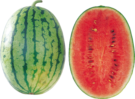 Big Half Cut Watermelon Transparent PNG