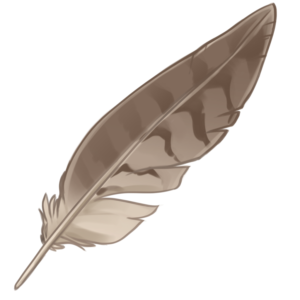 Bird Feather PNG Clipart Background