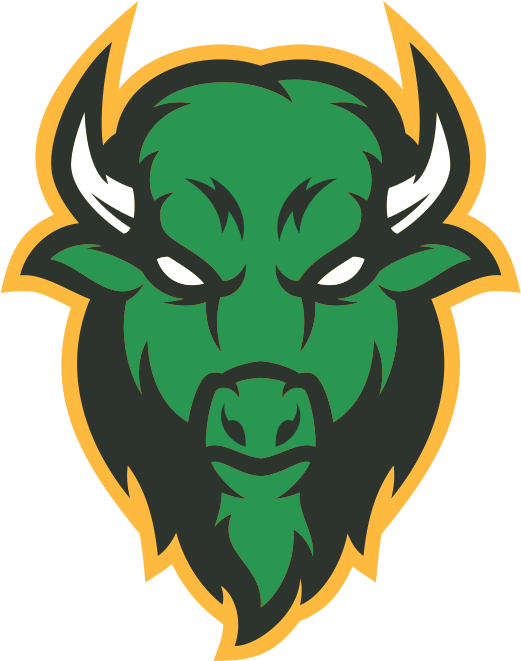 Bison Icon PNG