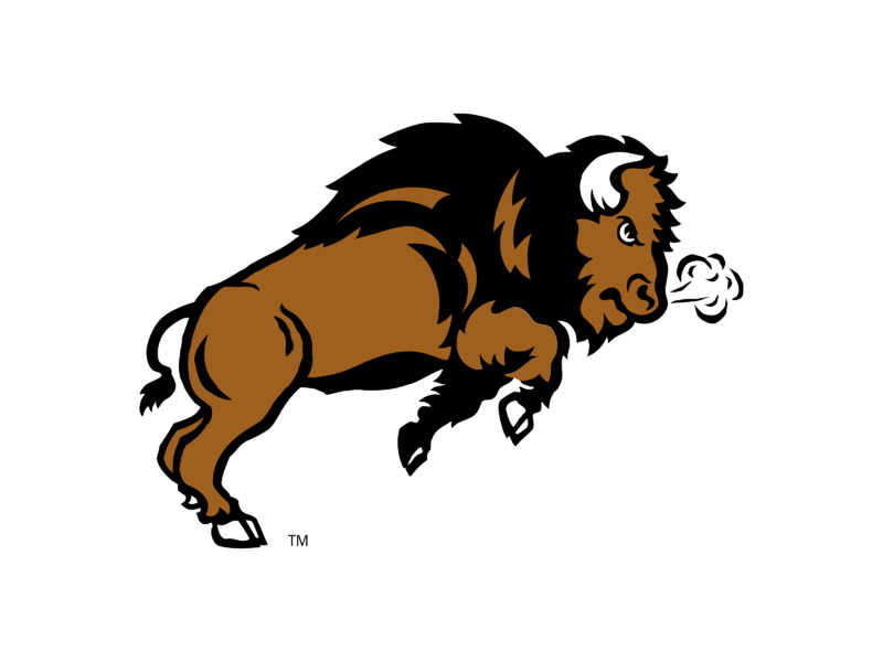 Bison Running PNG