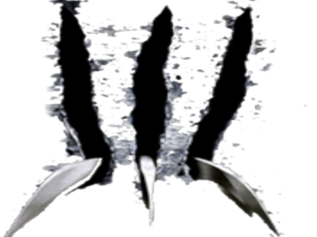 Black Claw Scratch Transparent Background