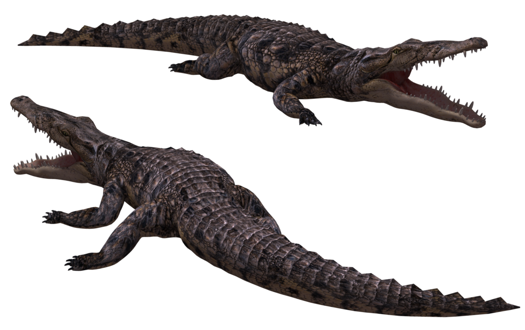 Black Giant Crocodile PNG