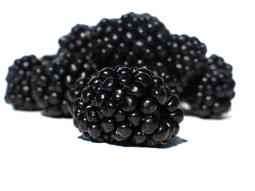 Blackberries Raw Transparent PNG