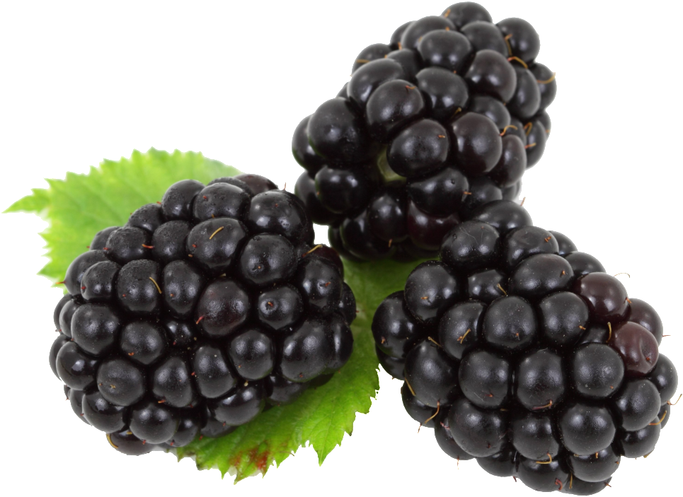 Blackberry Fruit Background PNG Image