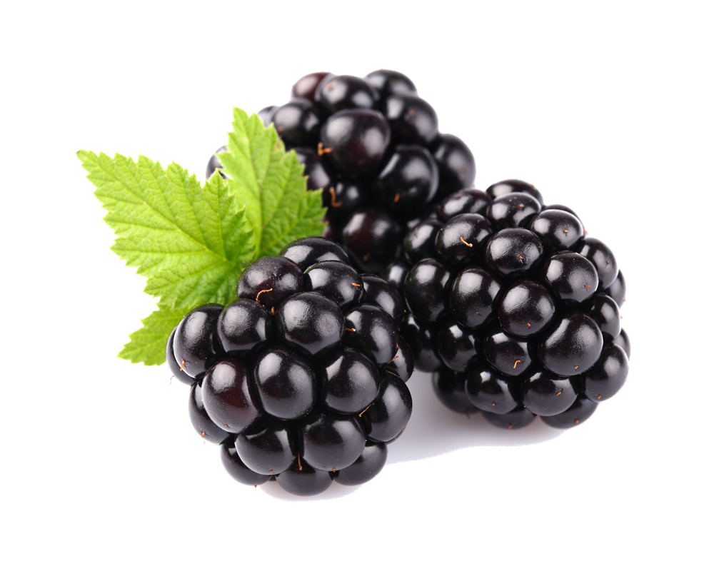Blackberry Fruit PNG Clipart Background
