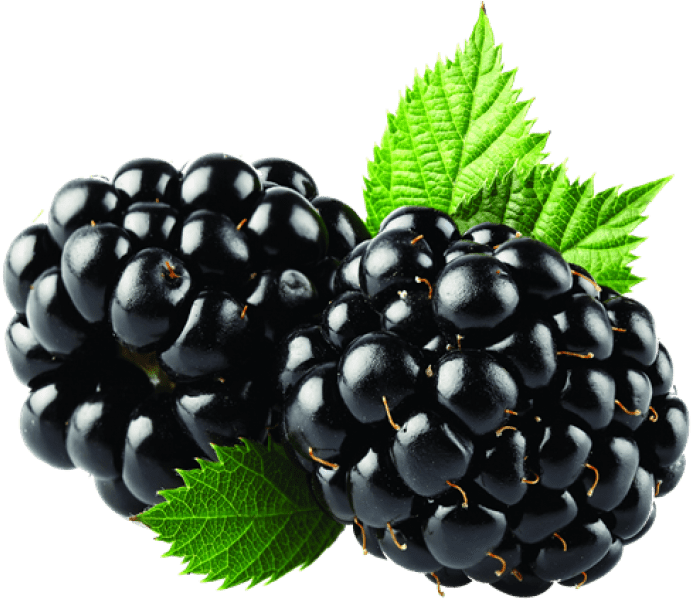 Blackberry Fruit PNG HD Quality