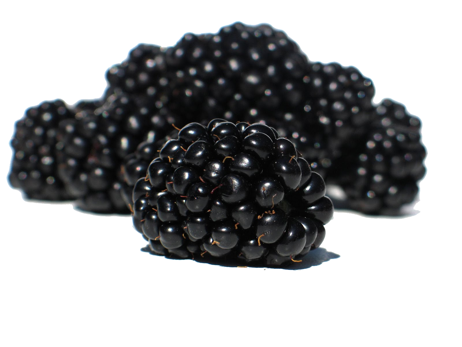 Blackberry Fruit Transparent Background
