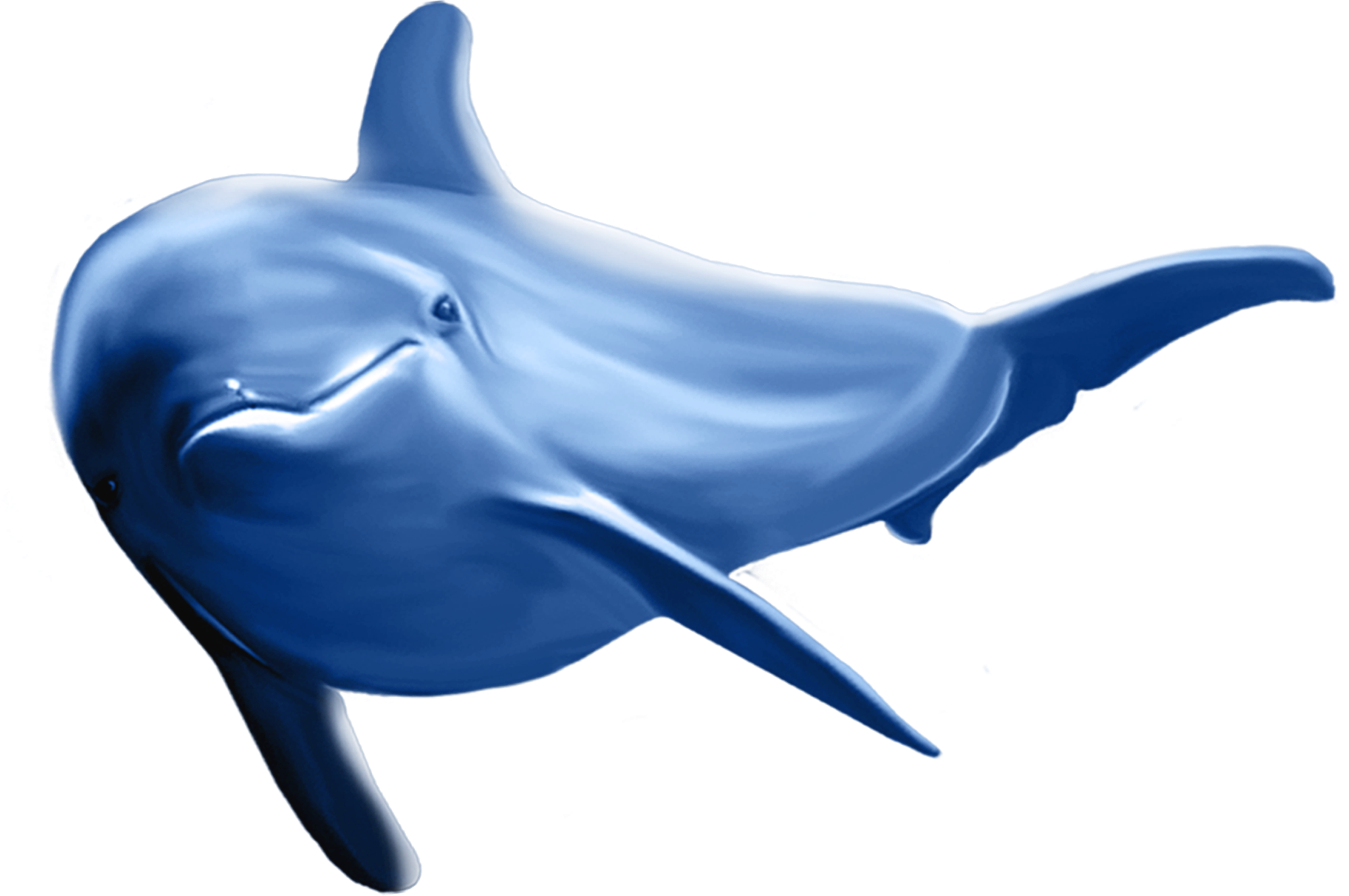 Blue Dolphin PNG