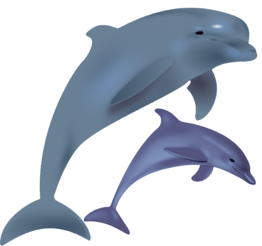 Blauwe dolfijn PNG | PNG Play