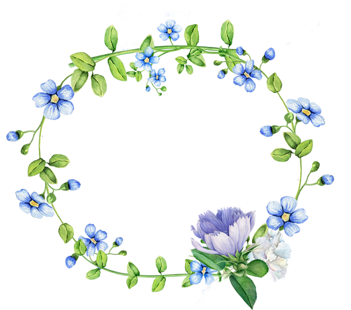 Blue Flower Wreath Background PNG Image