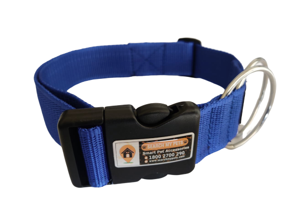 Blue Pet Dog Collar PNG
